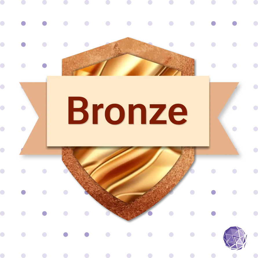 Audit & Fix Bronze Package