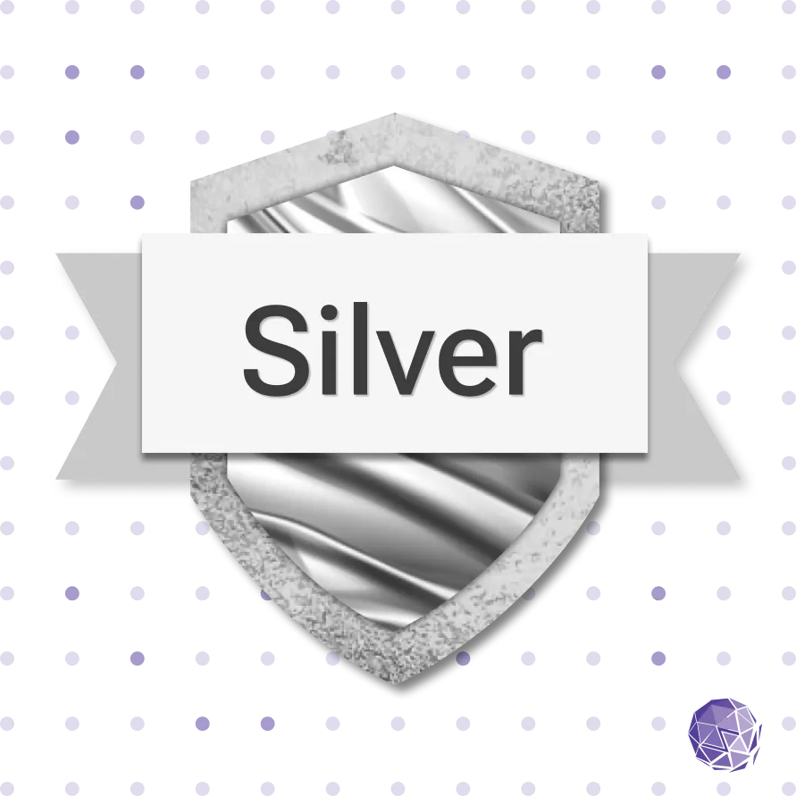 Audit & Fix Silver Package